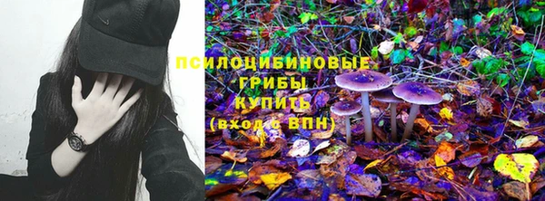 твердый Аркадак