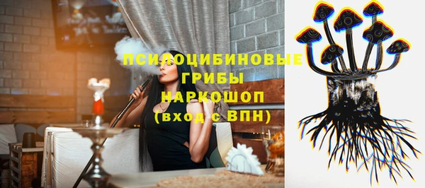 твердый Аркадак