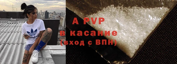 дживик Арсеньев