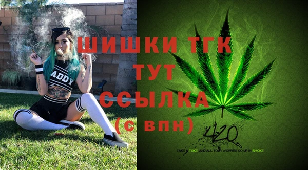 ГАЛЛЮЦИНОГЕННЫЕ ГРИБЫ Армянск