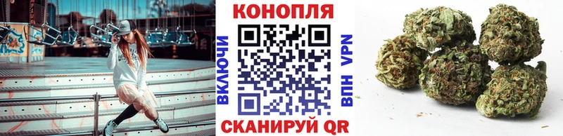Купить закладки  Приволжский  МАРИХУАНА сатива 